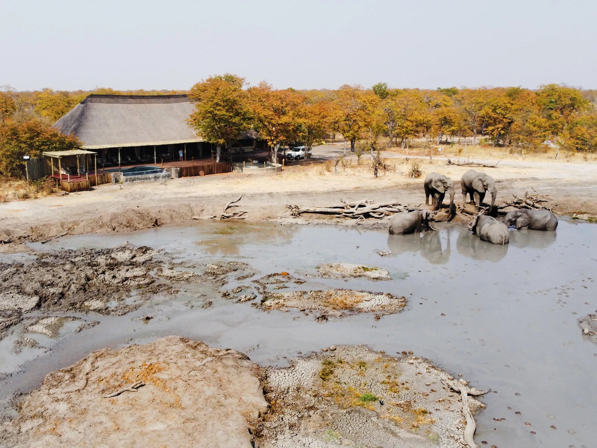 Watering hole in front of the main area at Hideaways Camp Kuzuma, Chobe, Kazuma Forest Reserve, Botswana.