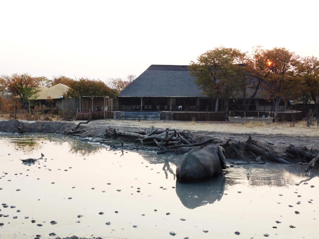 Watering hole in front of the main area at Hideaways Camp Kuzuma, Chobe, Kazuma Forest Reserve, Botswana.