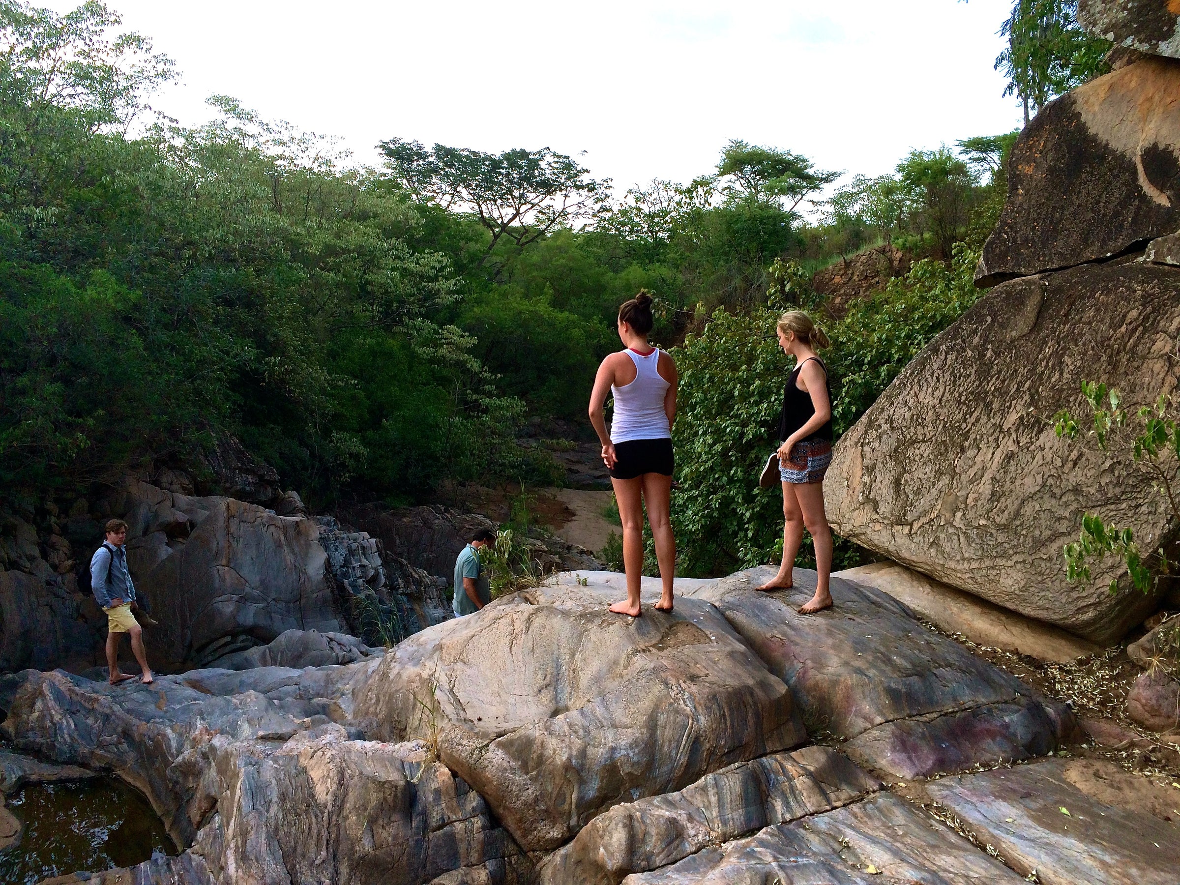 Bush Walks