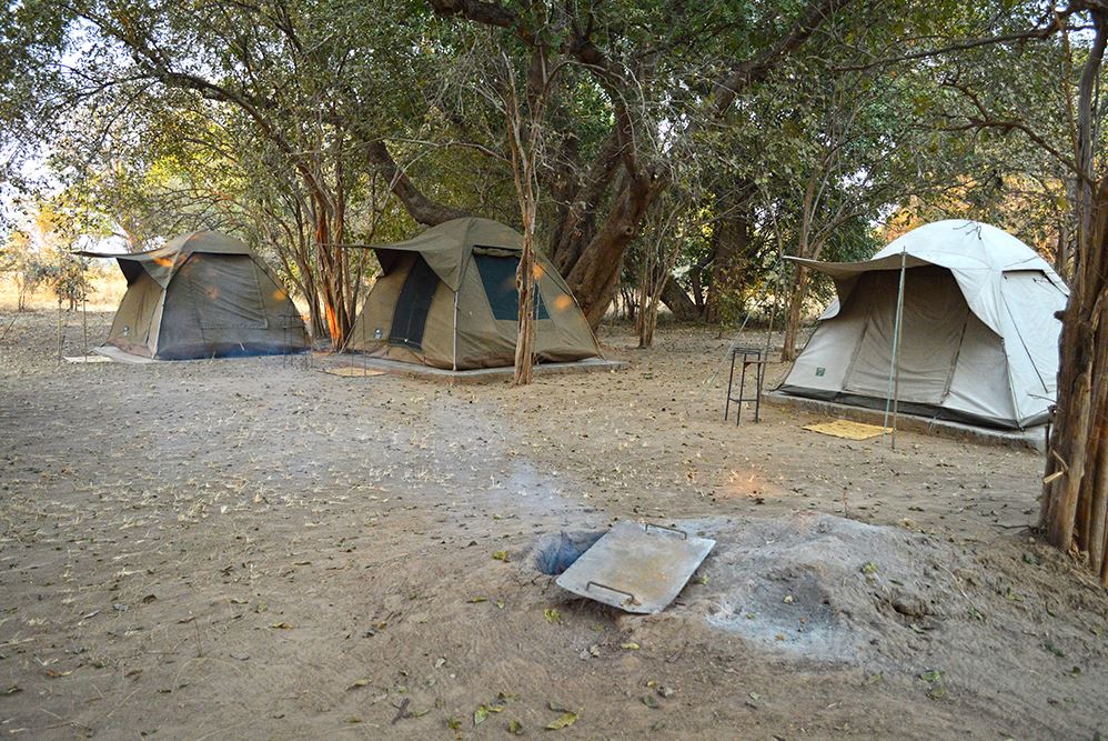 Wildlife Camp Bush Camp