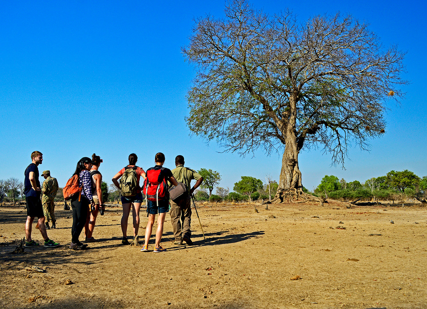 Wildlife Camp Bush Camp