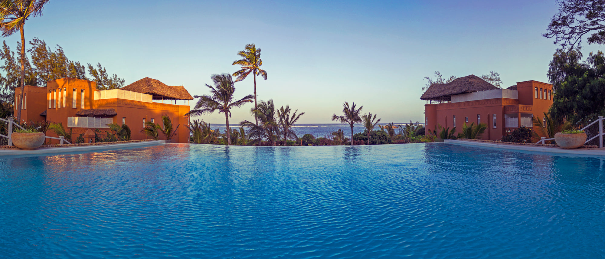 Medina Palms