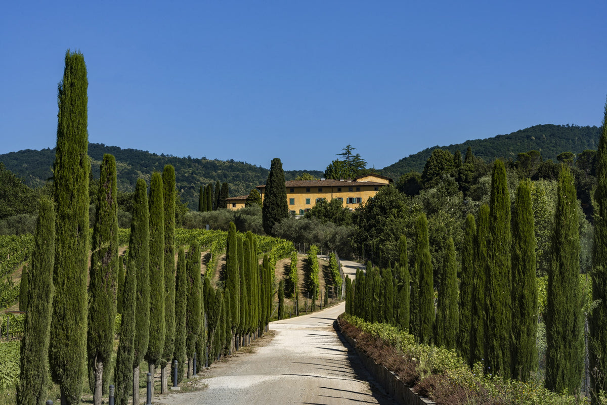 Villa La Palagina
