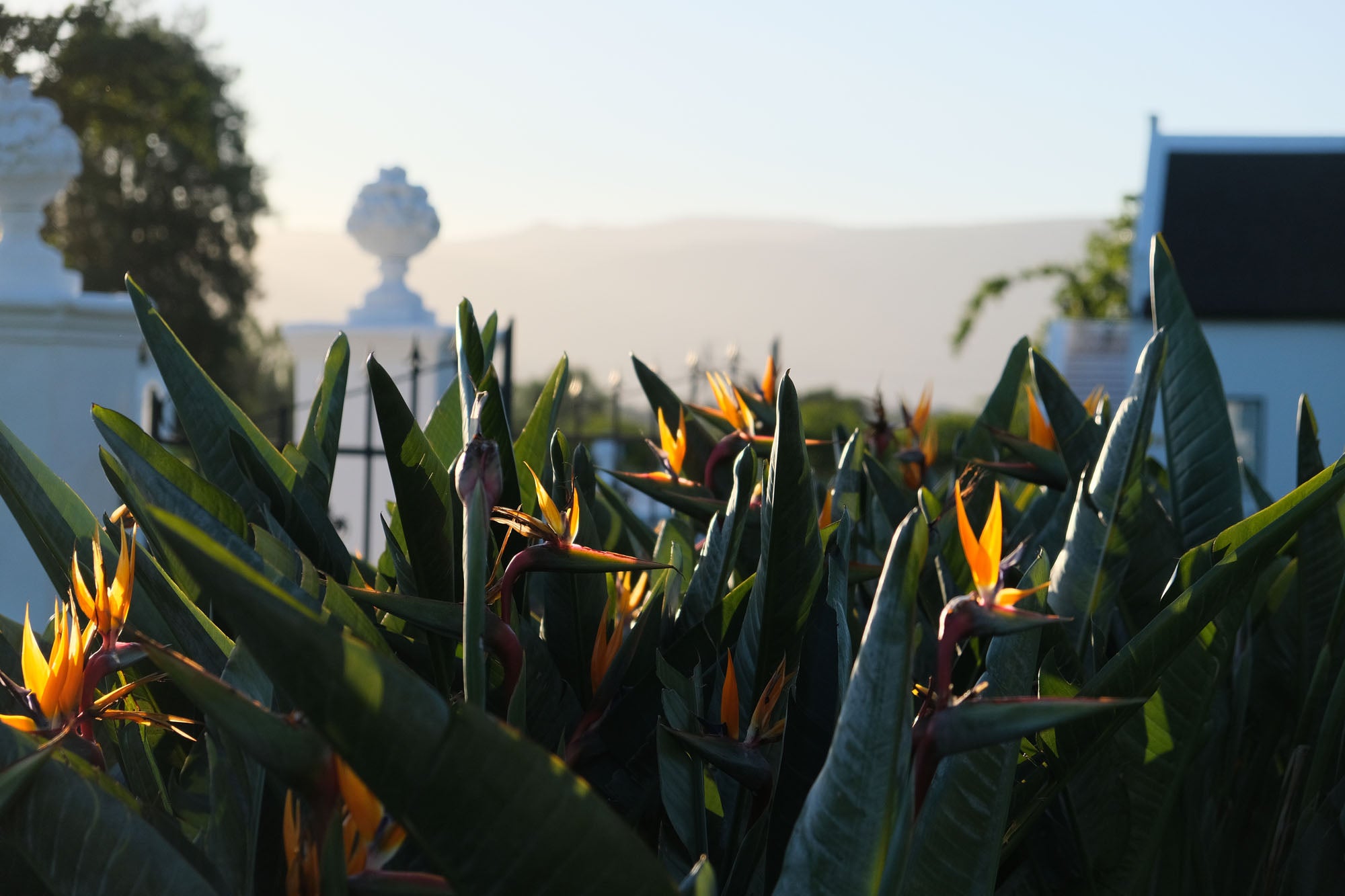 Adara Palmiet Valley Estate