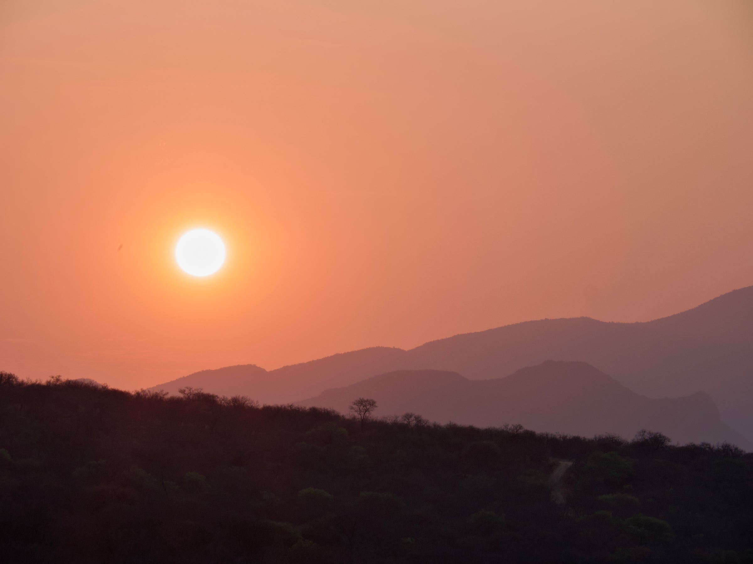 Cape Vulture Nature Reserve — Sunset drive