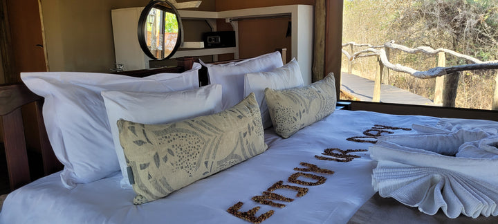 Xaoo Safari Camp