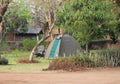 Barefoot Safari Lodge : Camp Sites