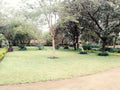 Barefoot Safari Lodge : Overlander - Bus Camper