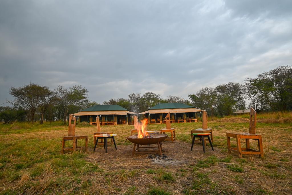 Main Area