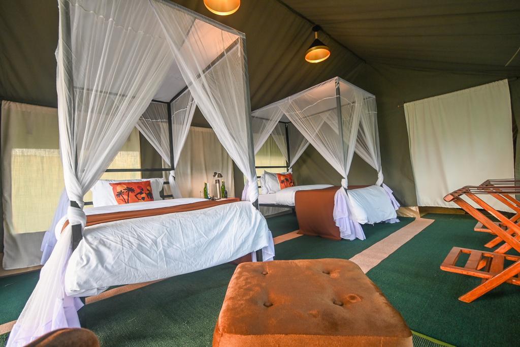 Guest Tent