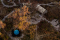 Selinda Explorers Camp Areal View