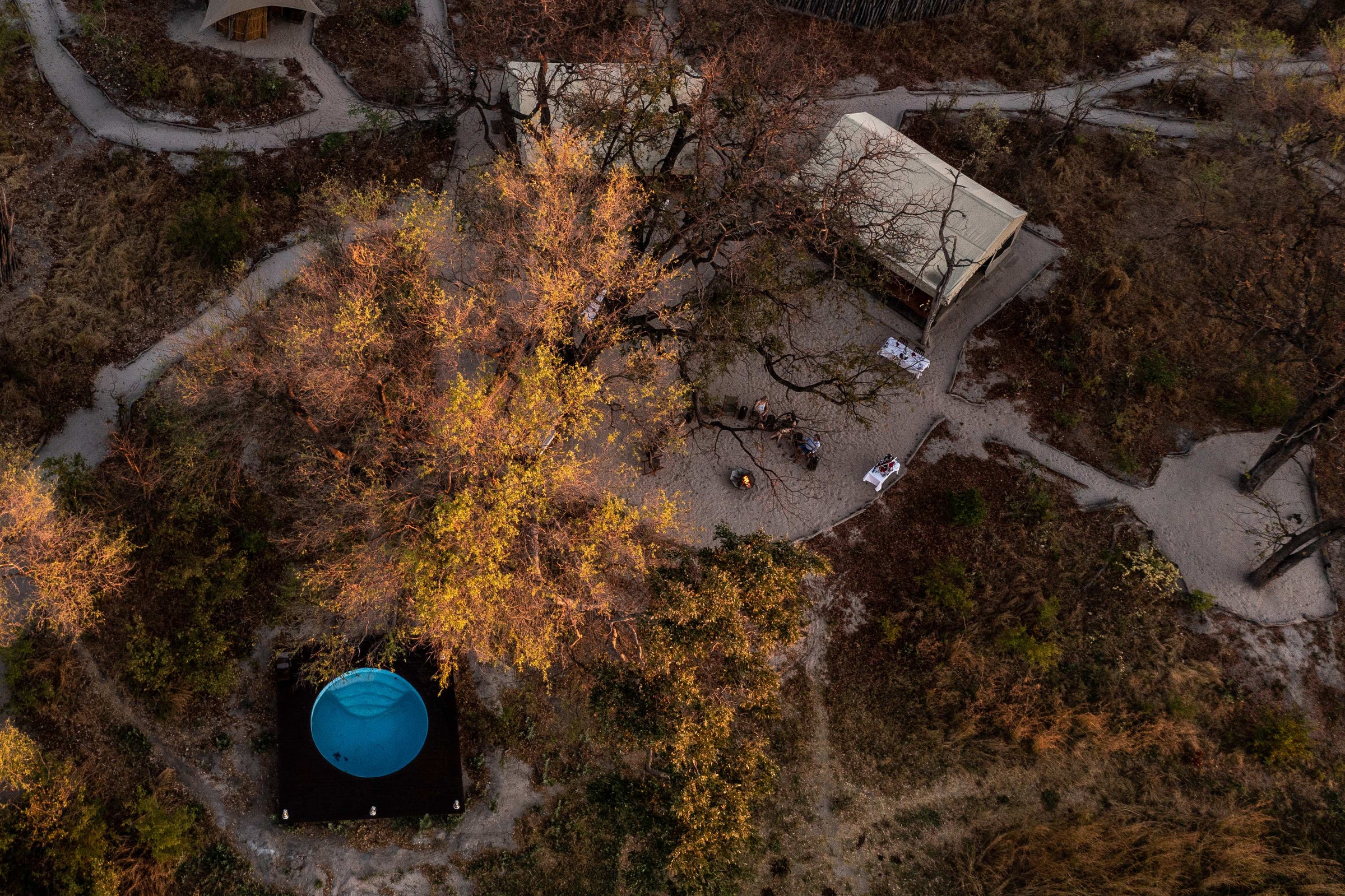Selinda Explorers Camp