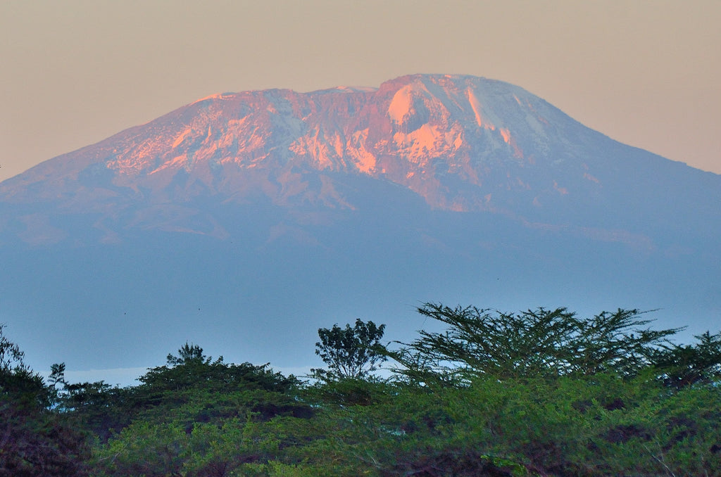 Kilimanjaro