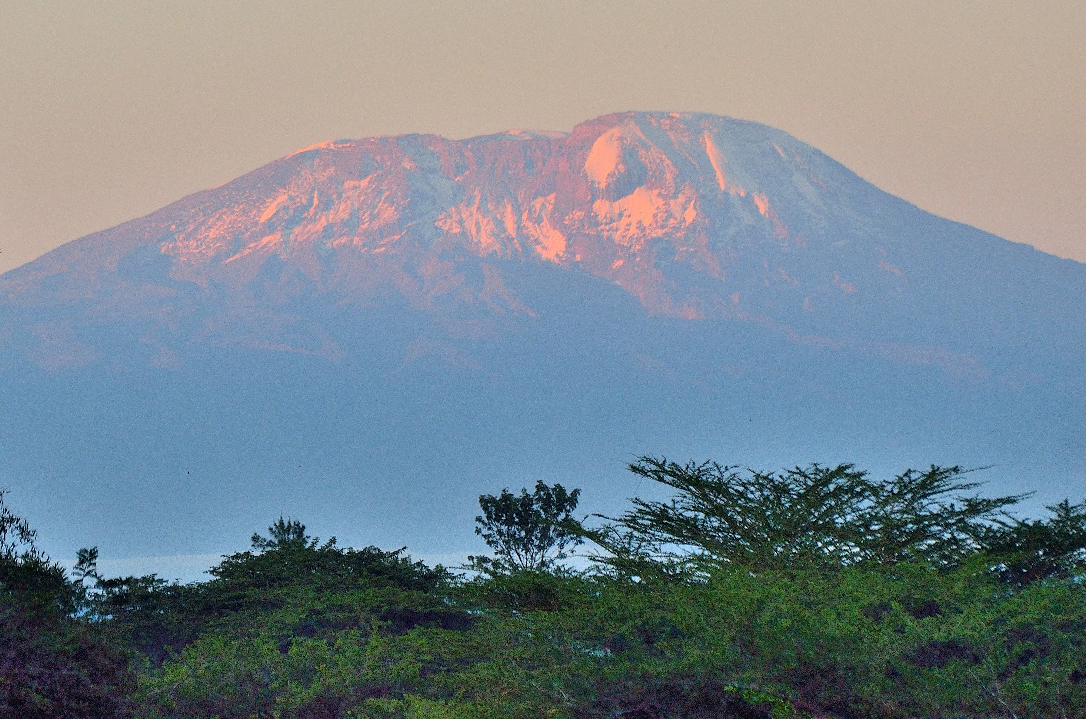 Kilimanjaro