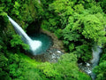 Wave Expeditions Extreme Canopy + Rafting