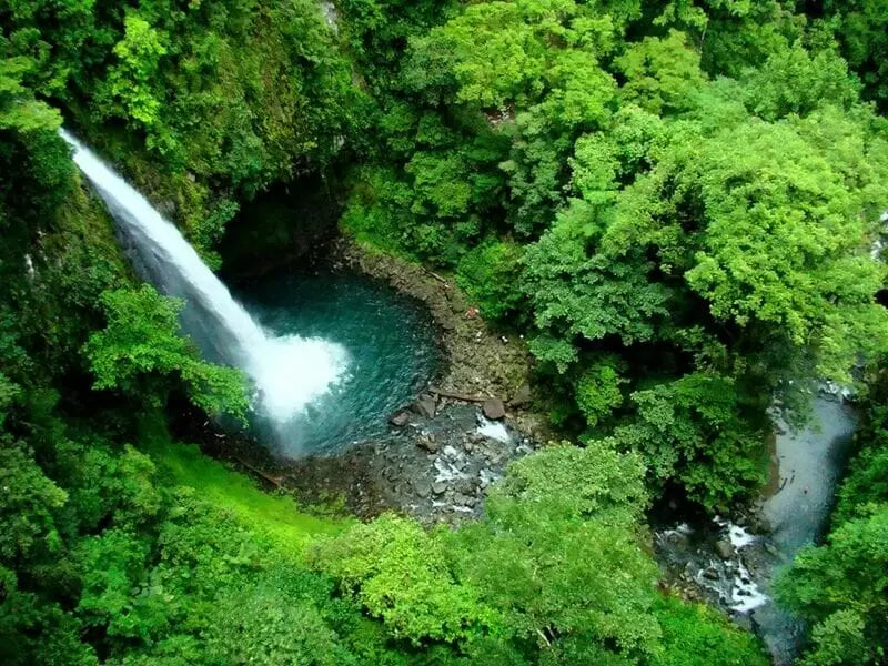 Wave Expeditions Extreme Canopy + Rafting