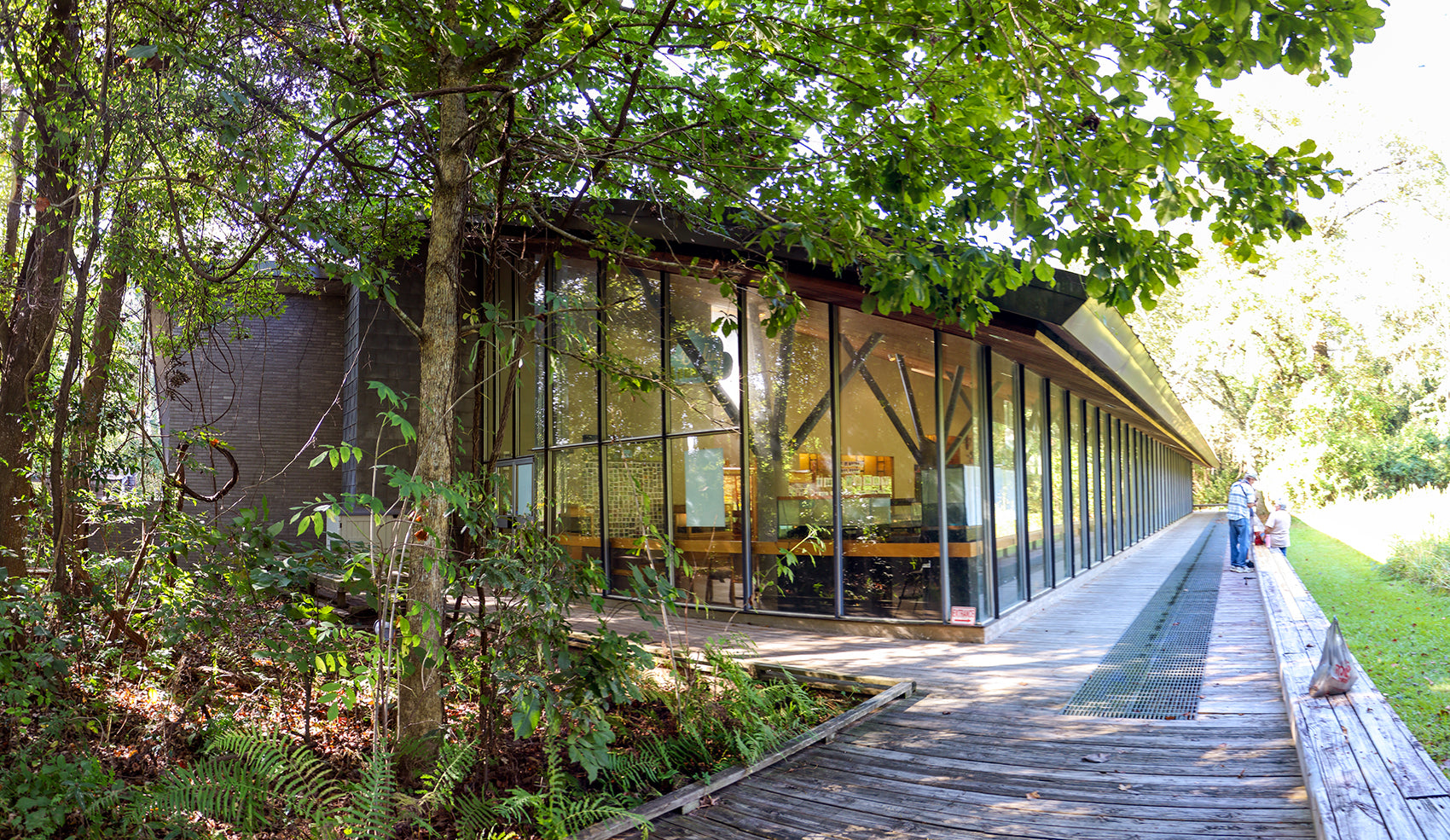 Bluebonnet Swamp Nature Center