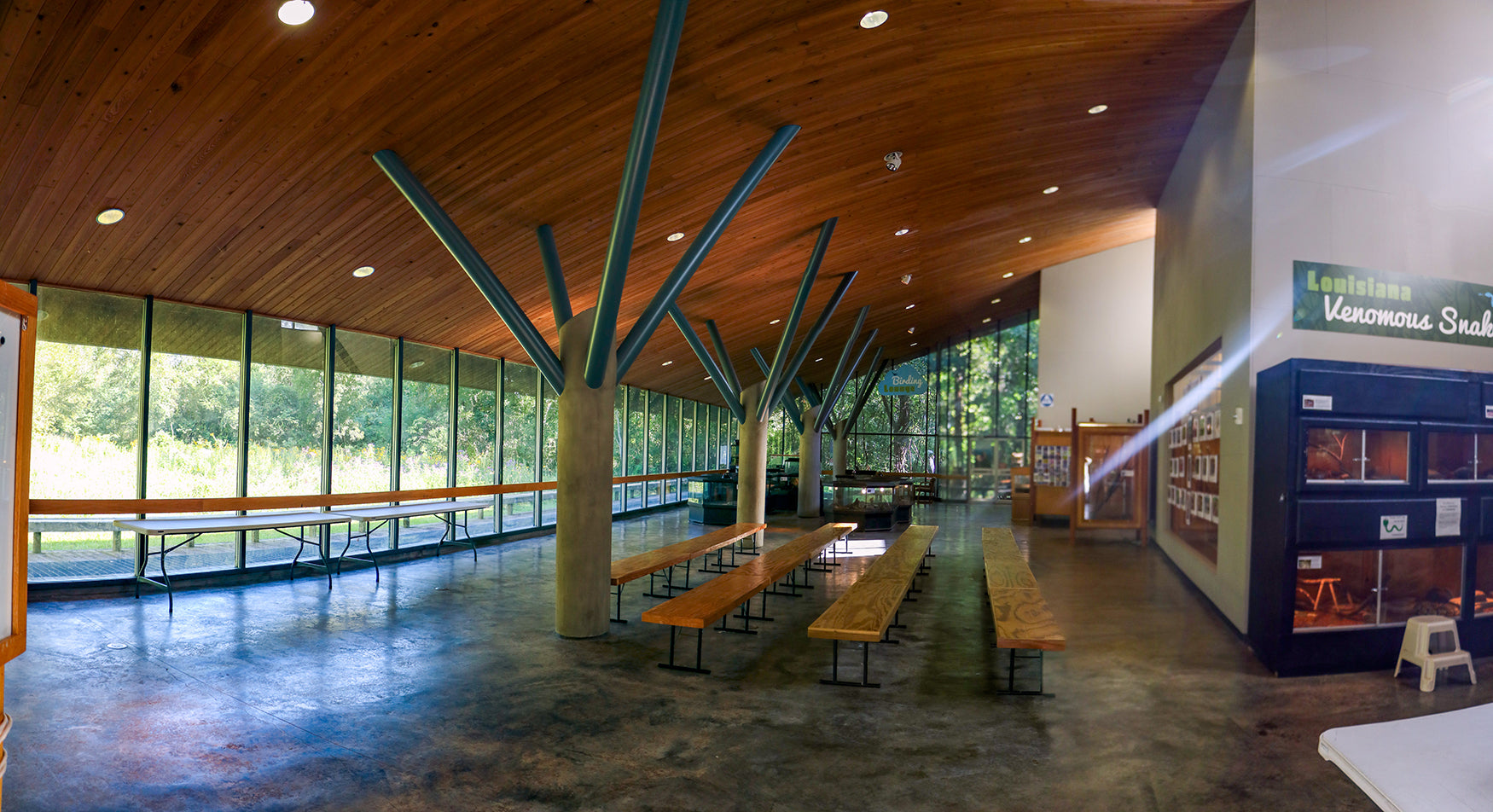 Bluebonnet Swamp Nature Center