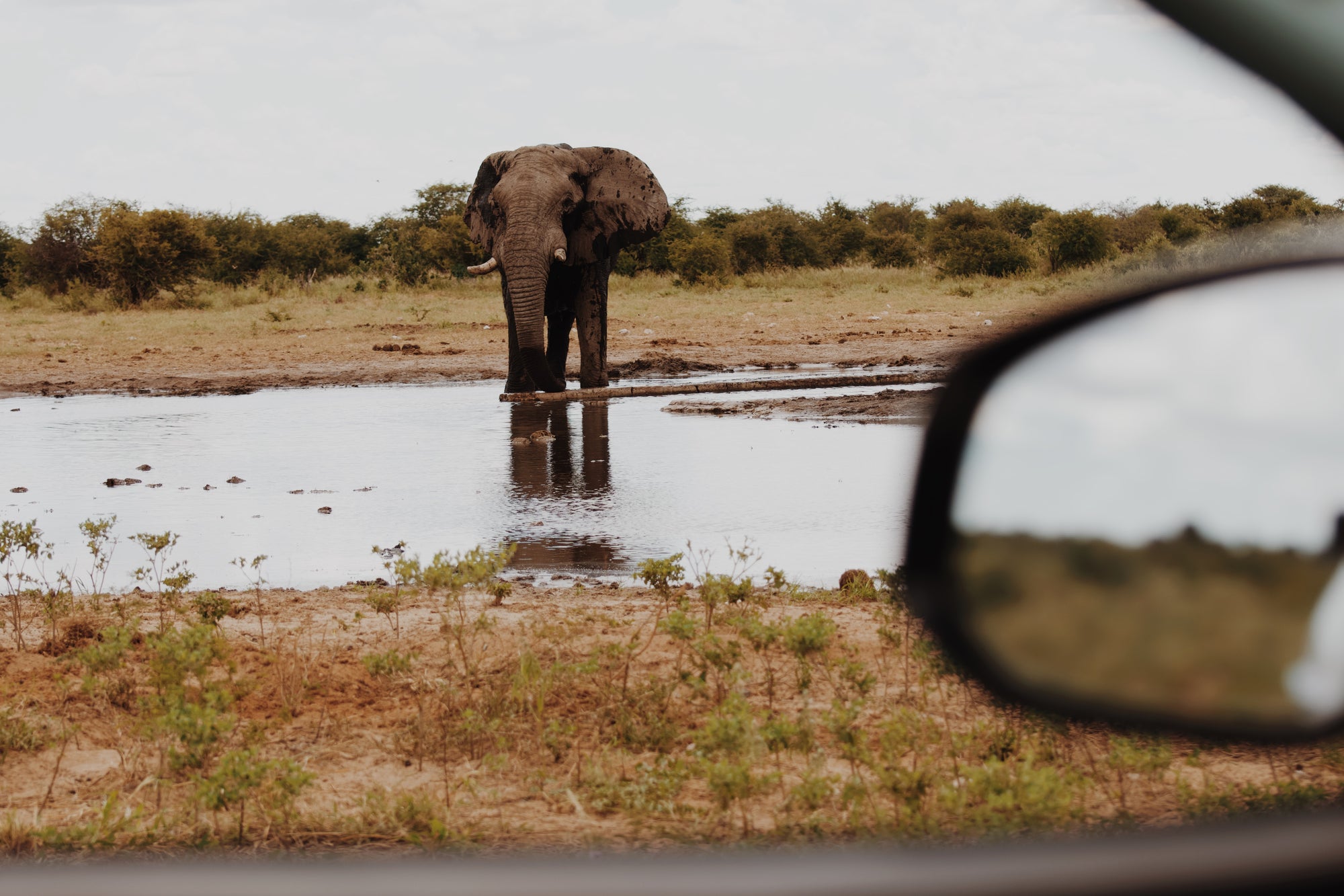 Self-Drive Safari through Etosha National Park