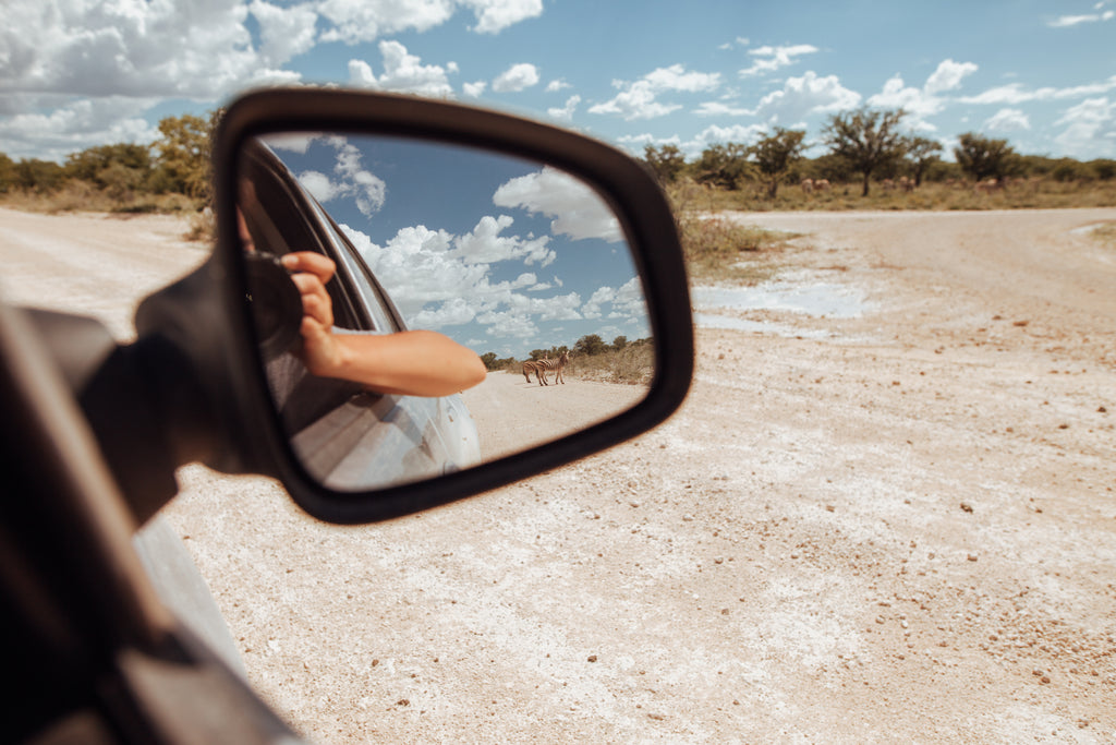 Self-Drive Safari through Etosha National Park