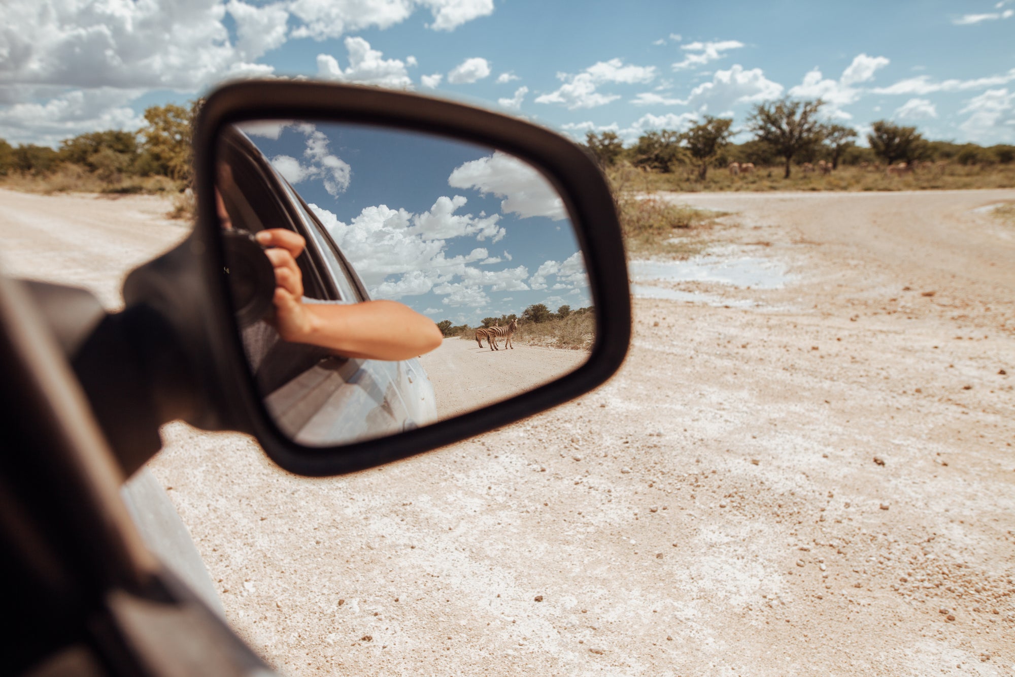 Self-Drive Safari through Etosha National Park