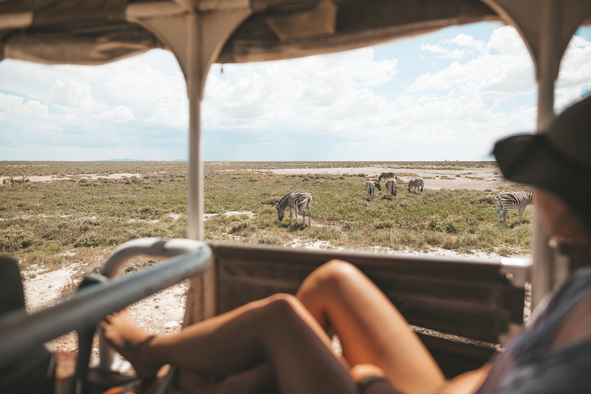 Half Day Game Drive into Etosha