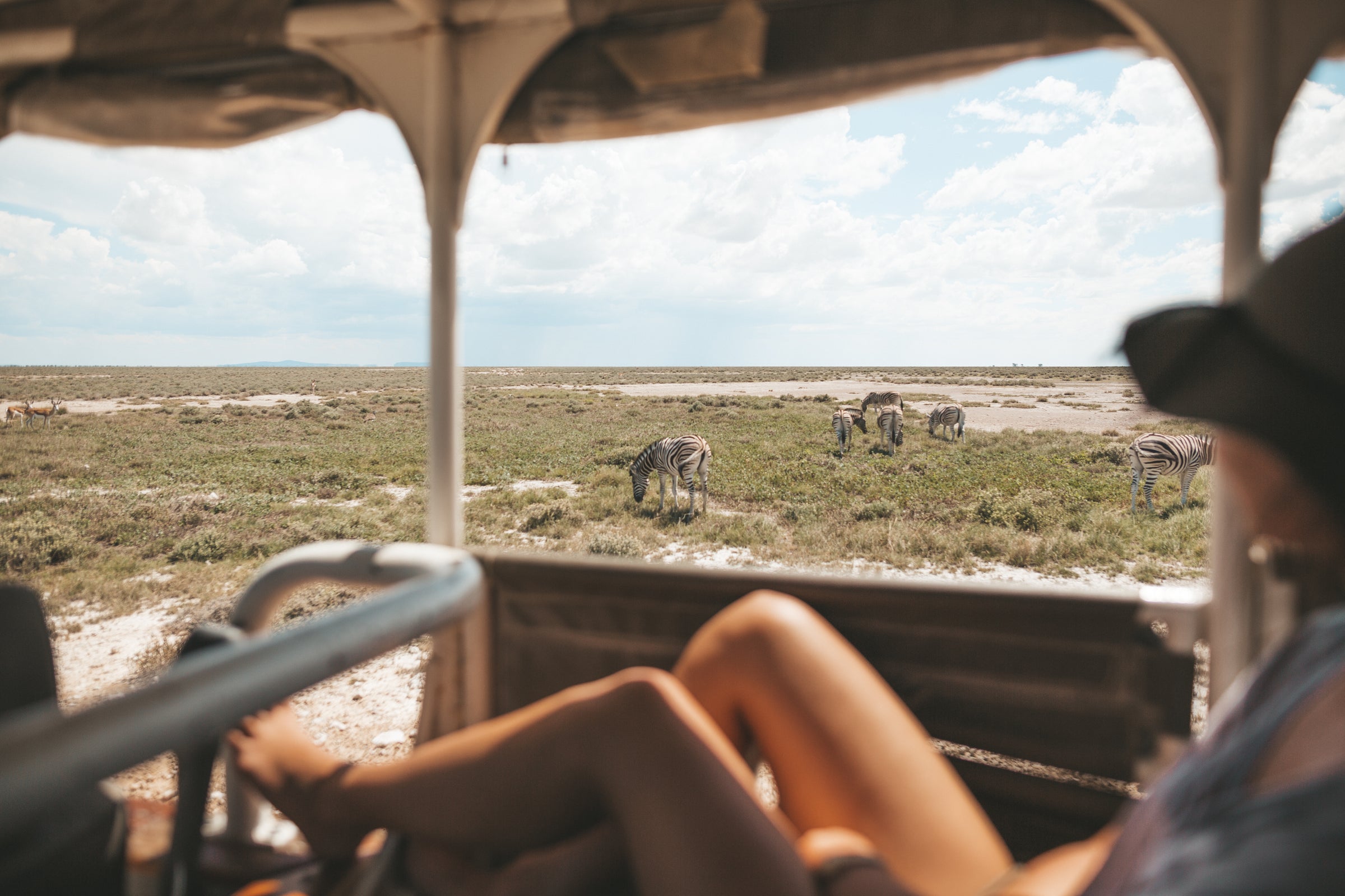 Half Day Game Drive into Etosha