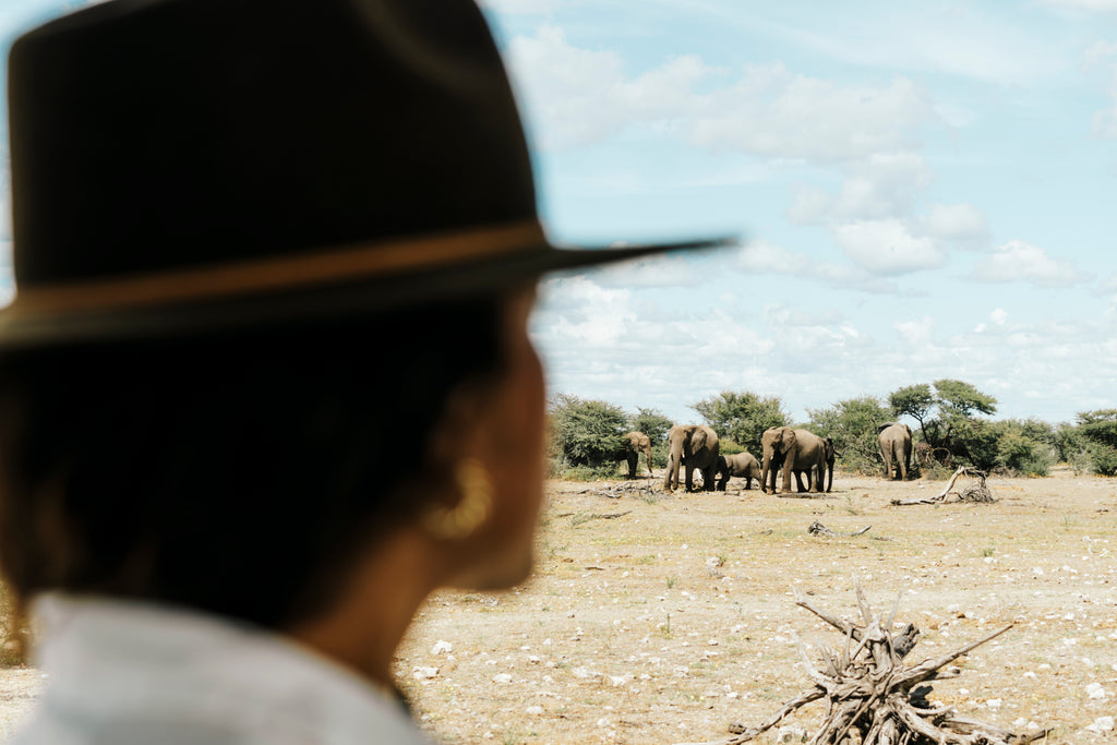 Full Day Game Drive into Etosha