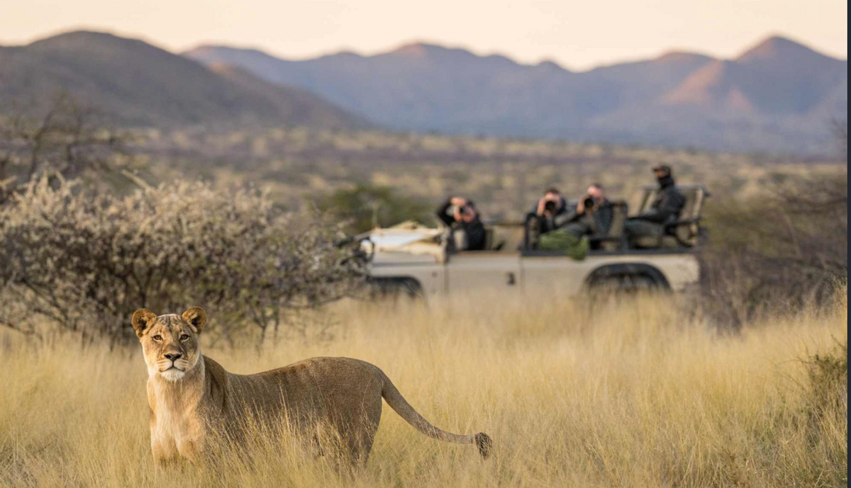Private Game Drives