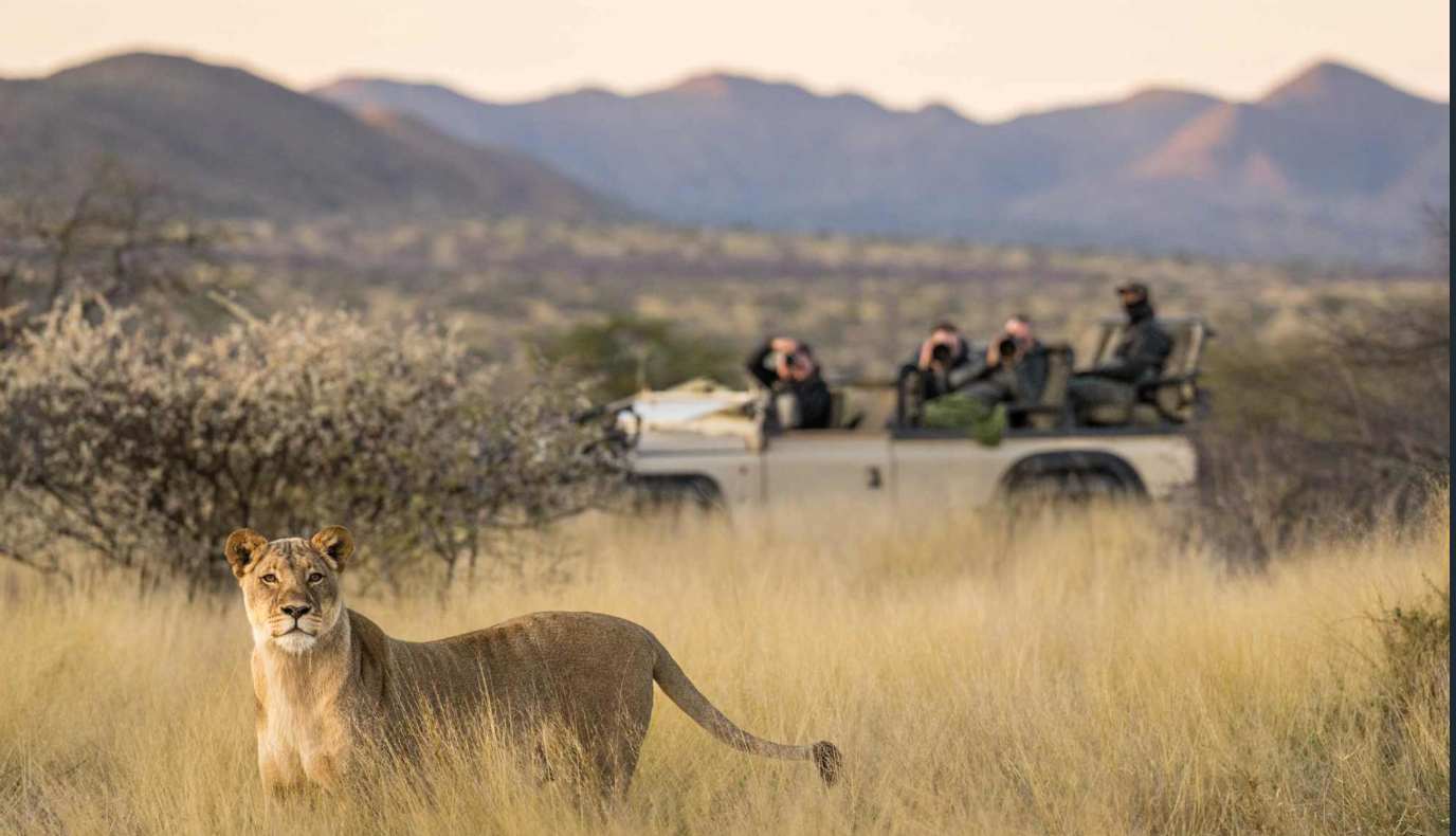 Private Game Drives