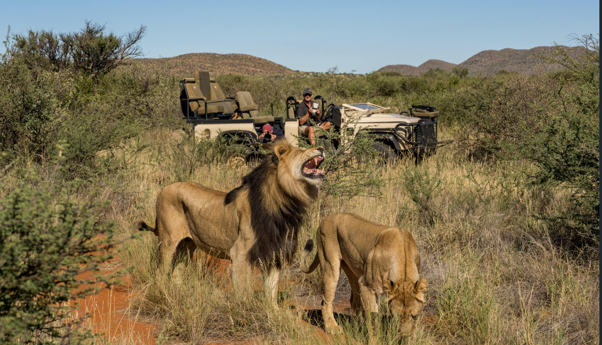 Photographic Safari