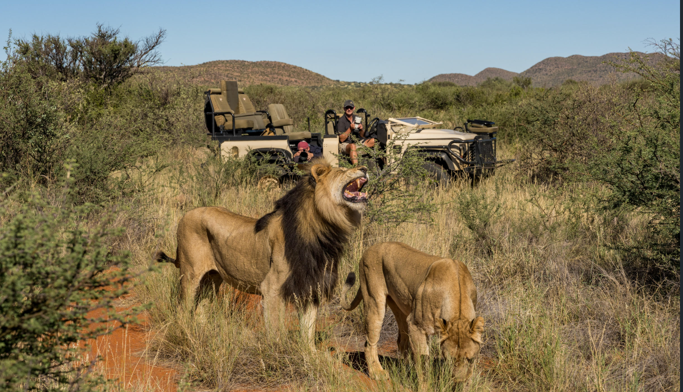 Photographic Safari 
