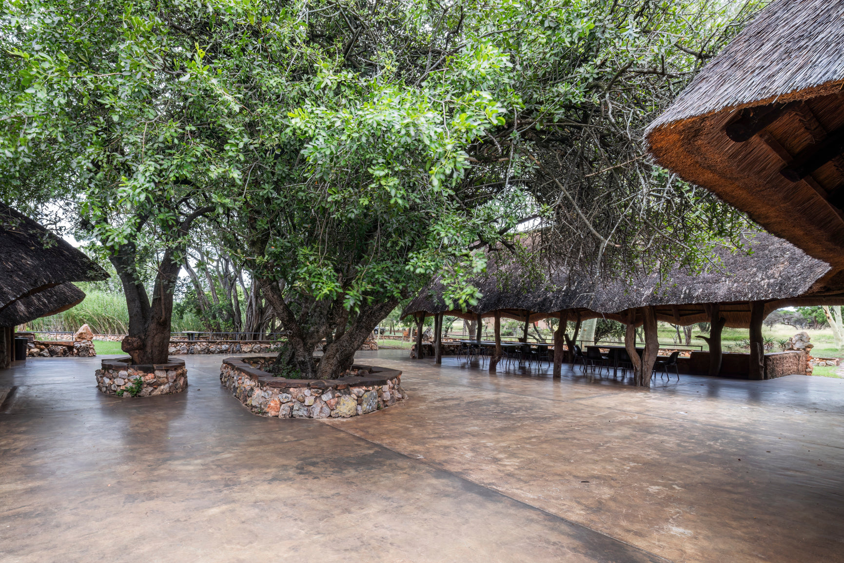 Function Venue - Tinsele
