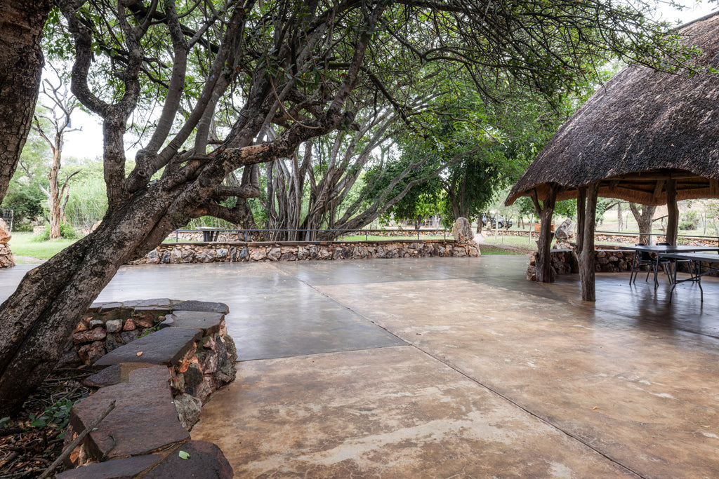 Function Venue - Tinsele1