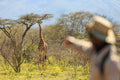 Game & BIrding Walks