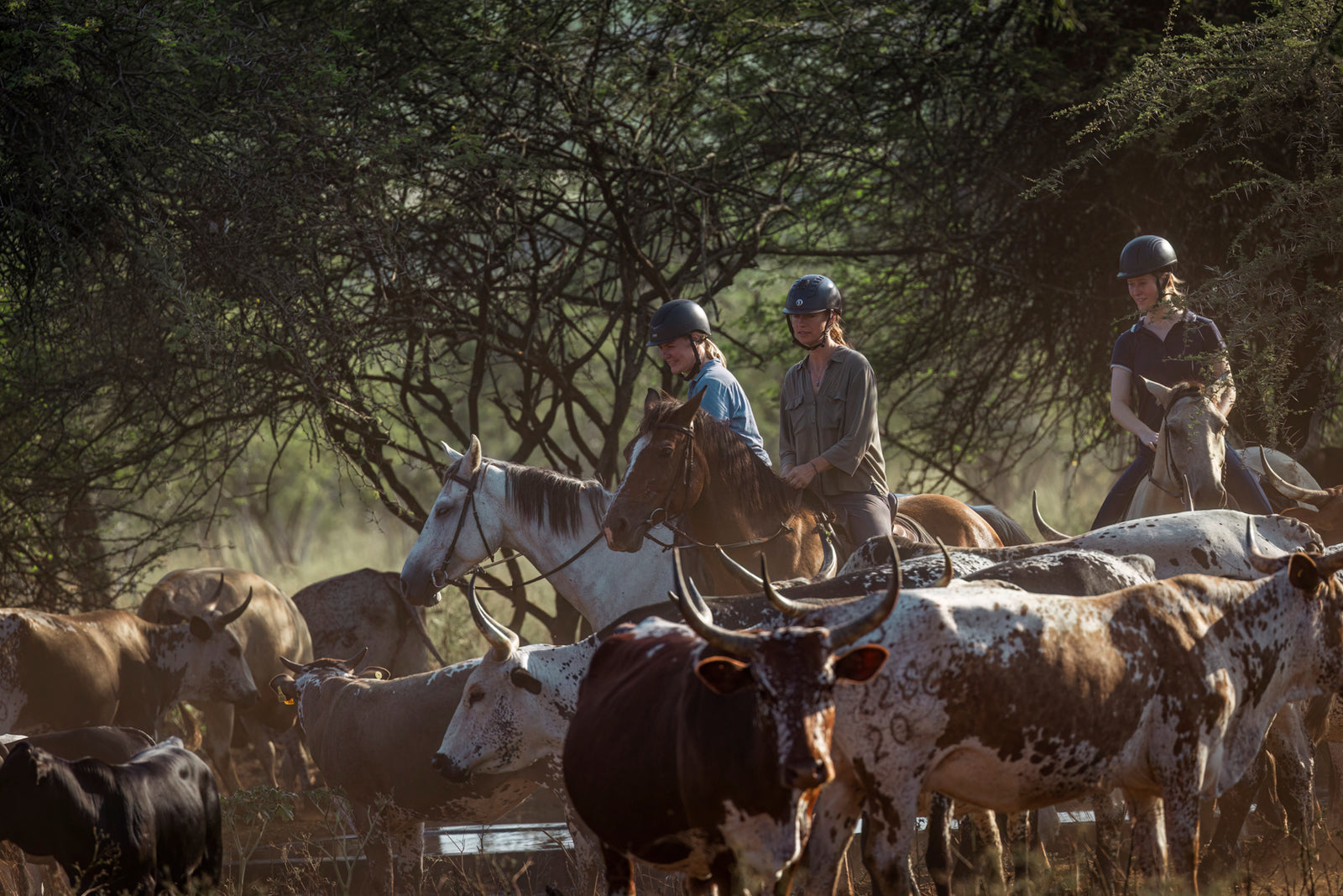 KaMsholo Bushveld Safaris — Horse Riding