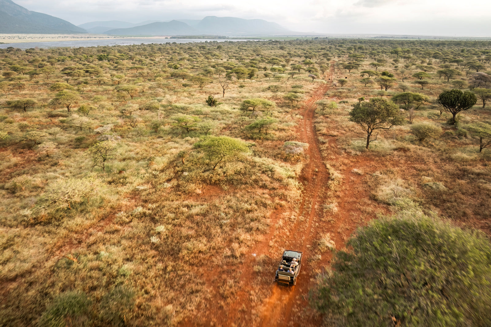 KaMsholo Bushveld Safaris — Game Drive