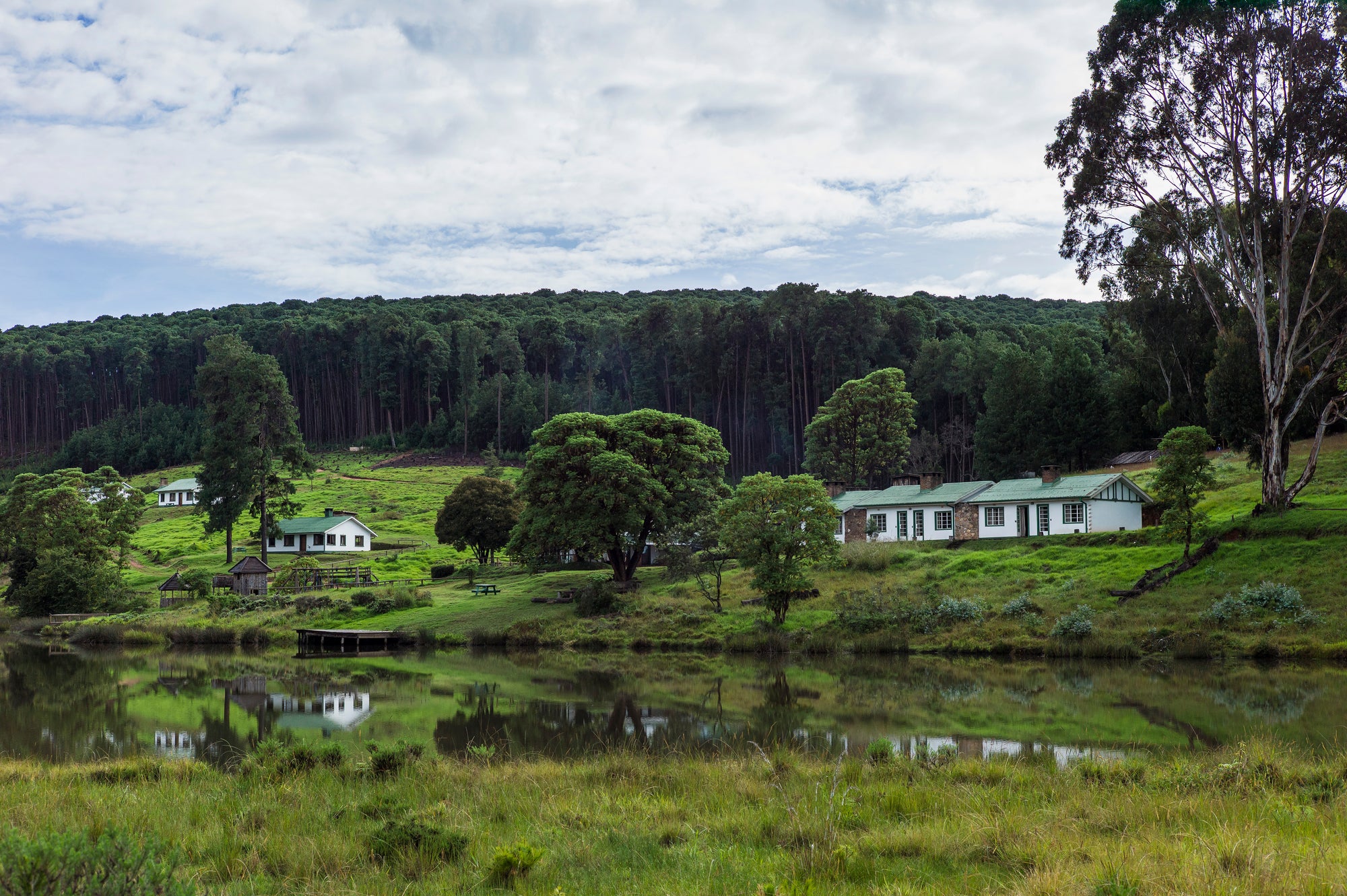 Chelinda Camp : Chelinda Camp - En-suite rooms