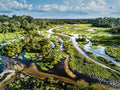 Lango Lodge - Kamba African Rainforest Experiences