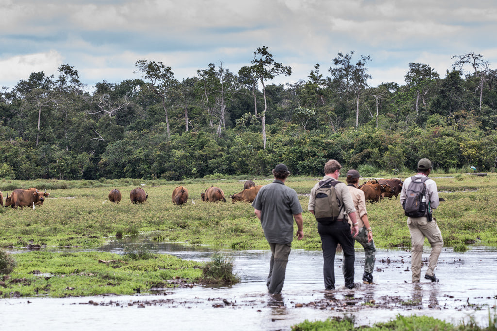 Lango Lodge - Kamba African Rainforest Experiences