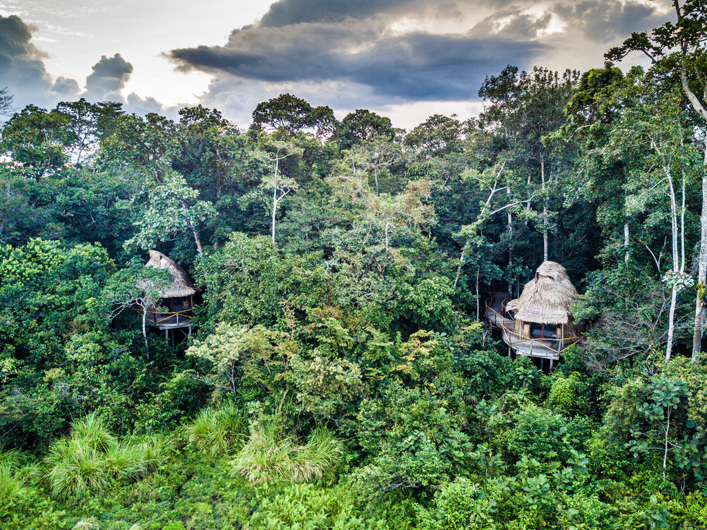 Lango Lodge - Kamba African Rainforest Experiences