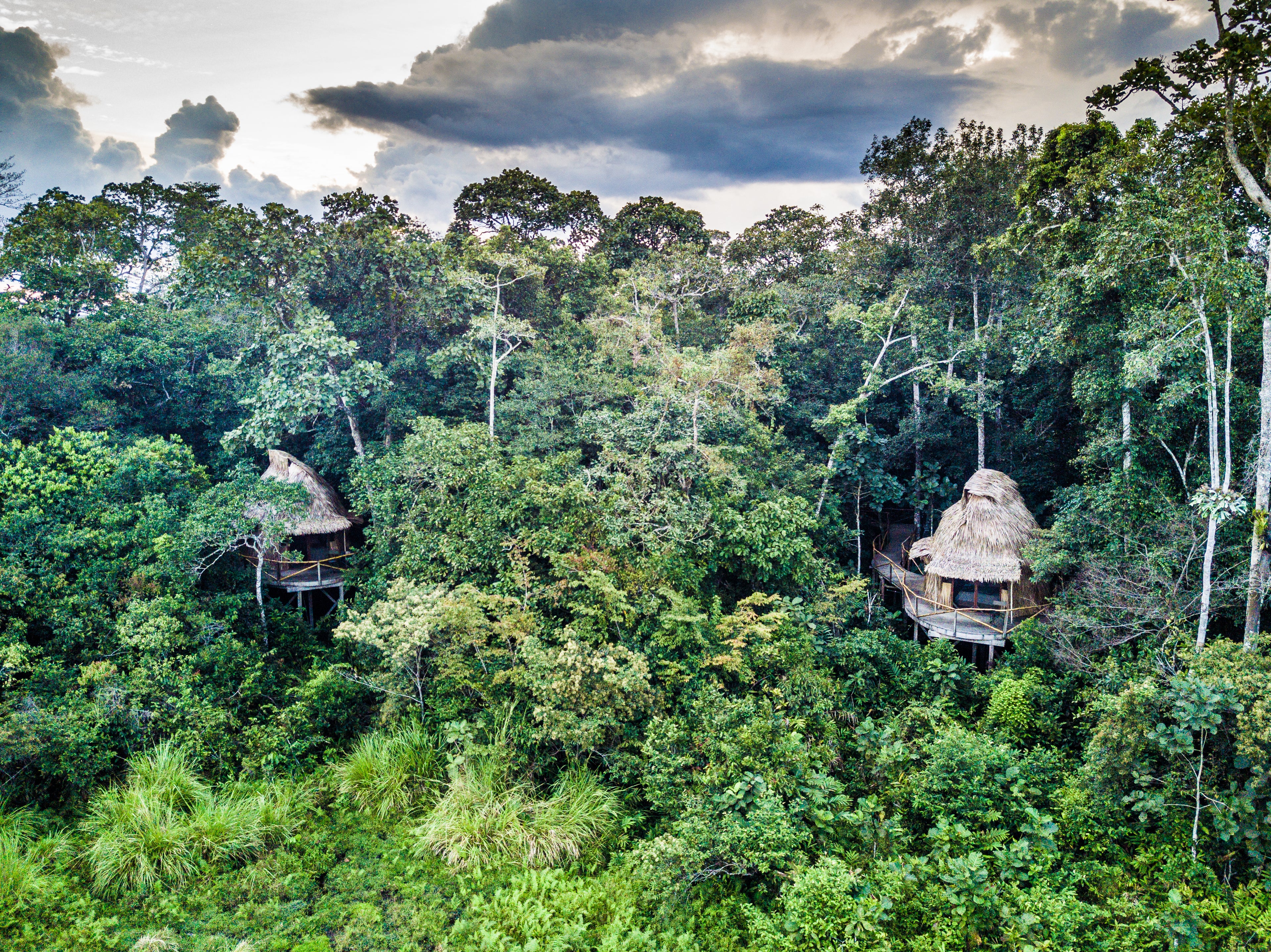 Lango Lodge - Kamba African Rainforest Experiences