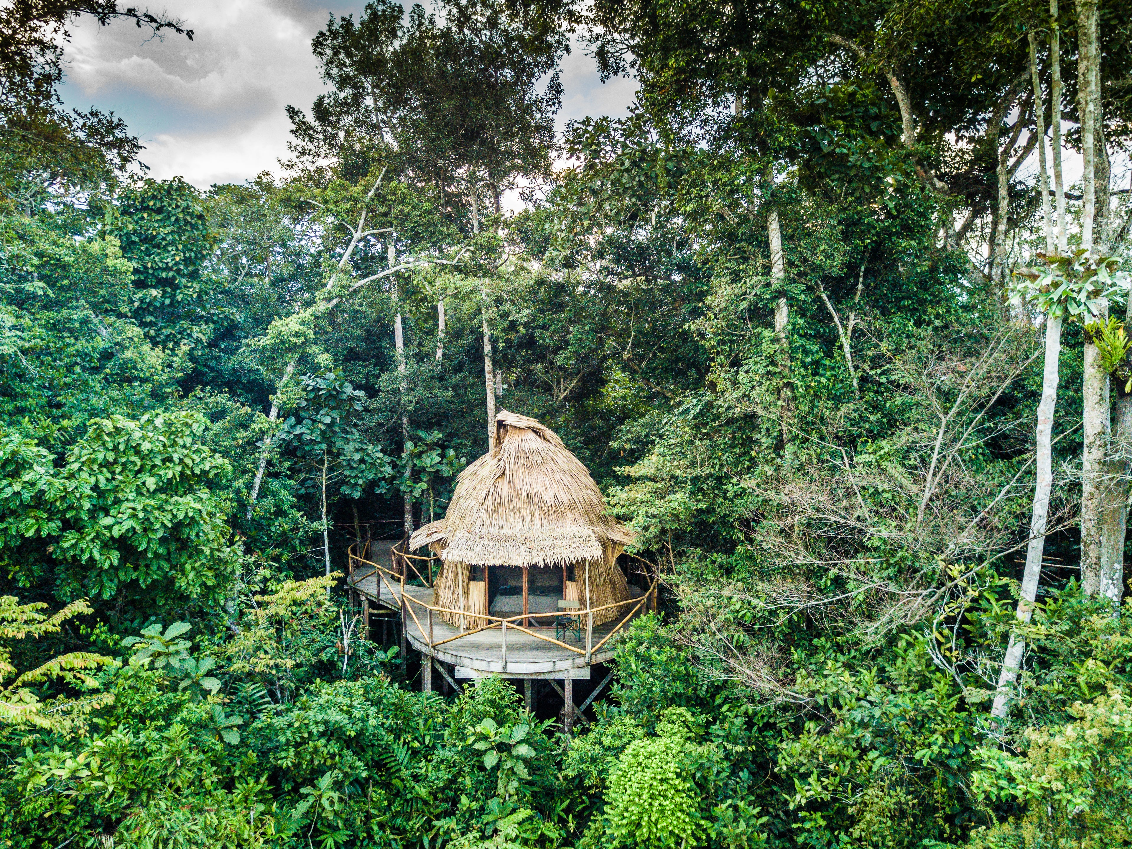 Lango Lodge - Kamba African Rainforest Experiences