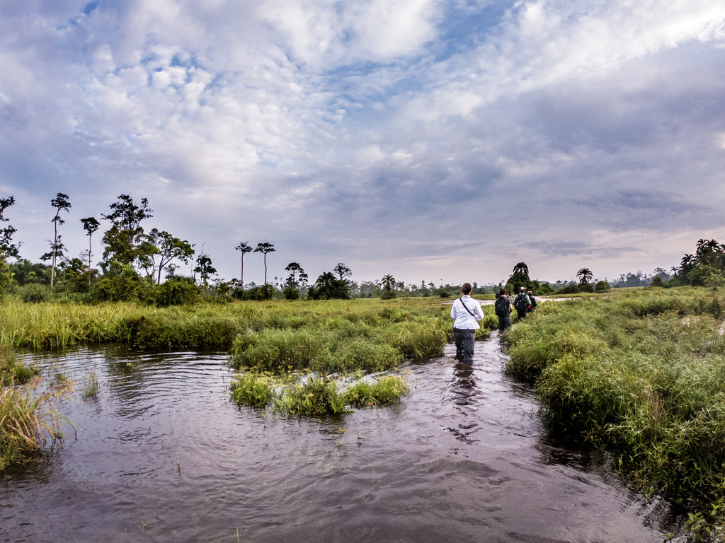 Lango Lodge - Kamba African Rainforest Experiences
