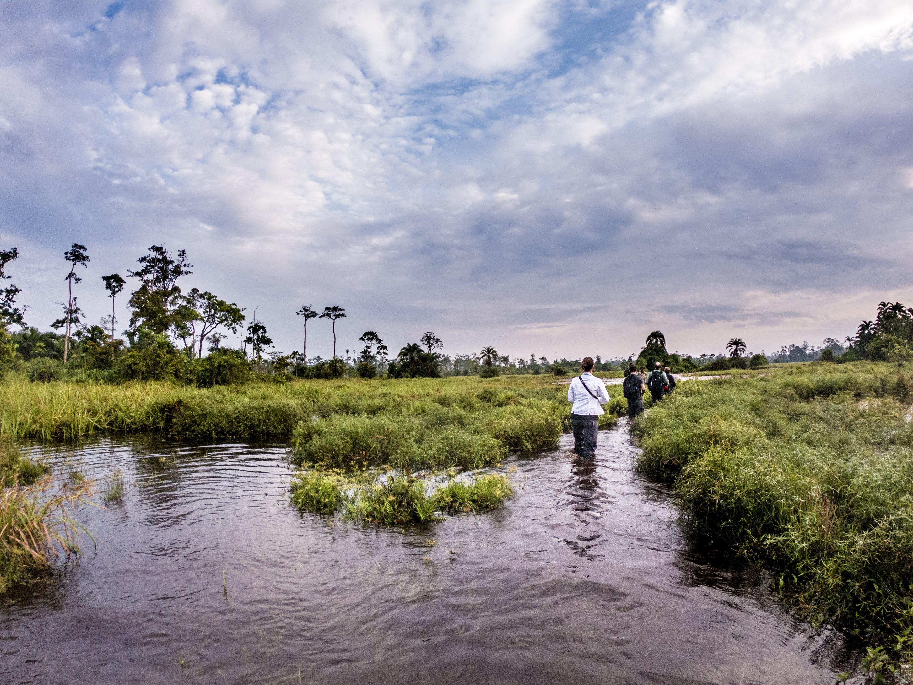 Lango Lodge - Kamba African Rainforest Experiences