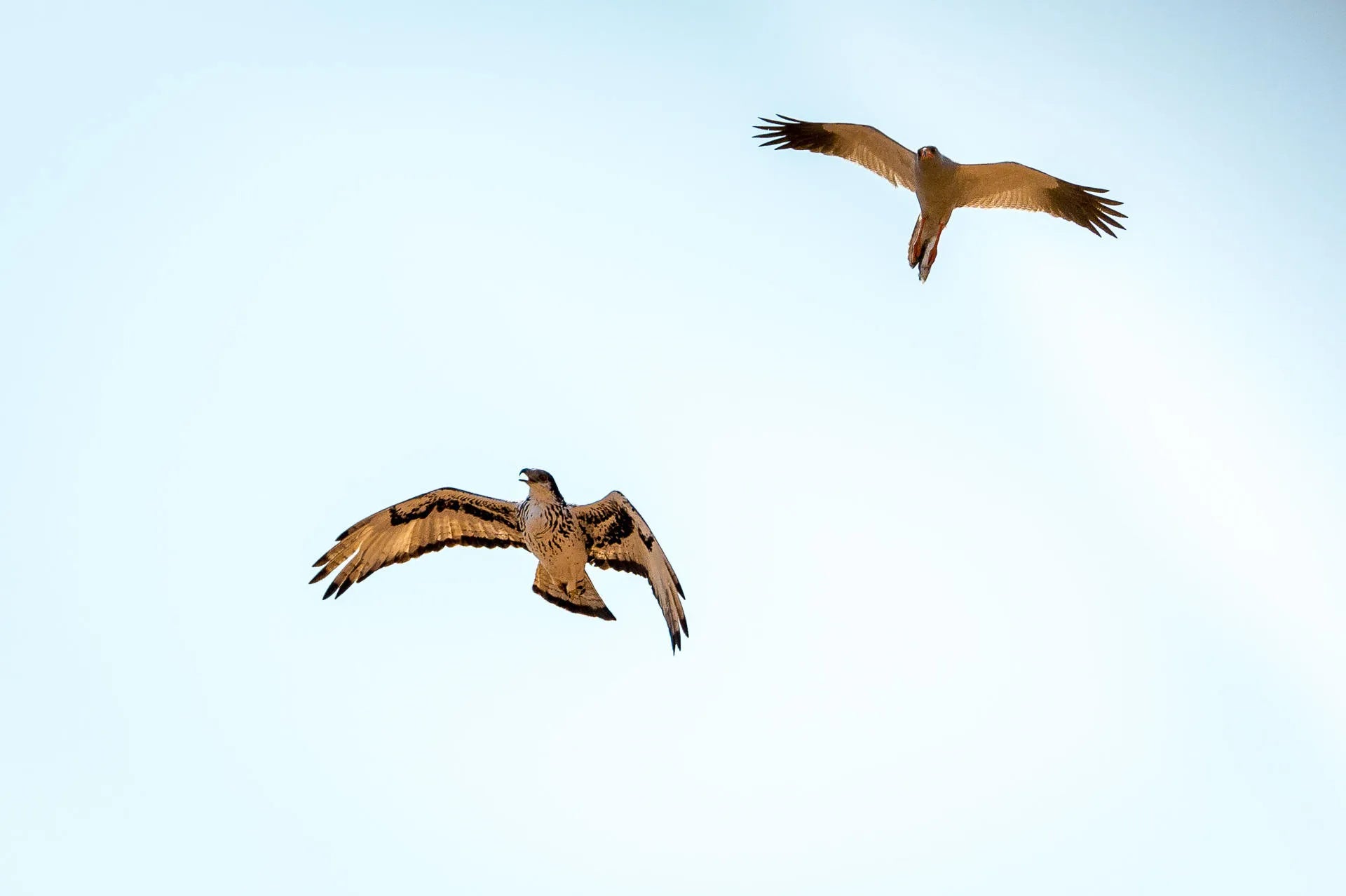 Featured image.