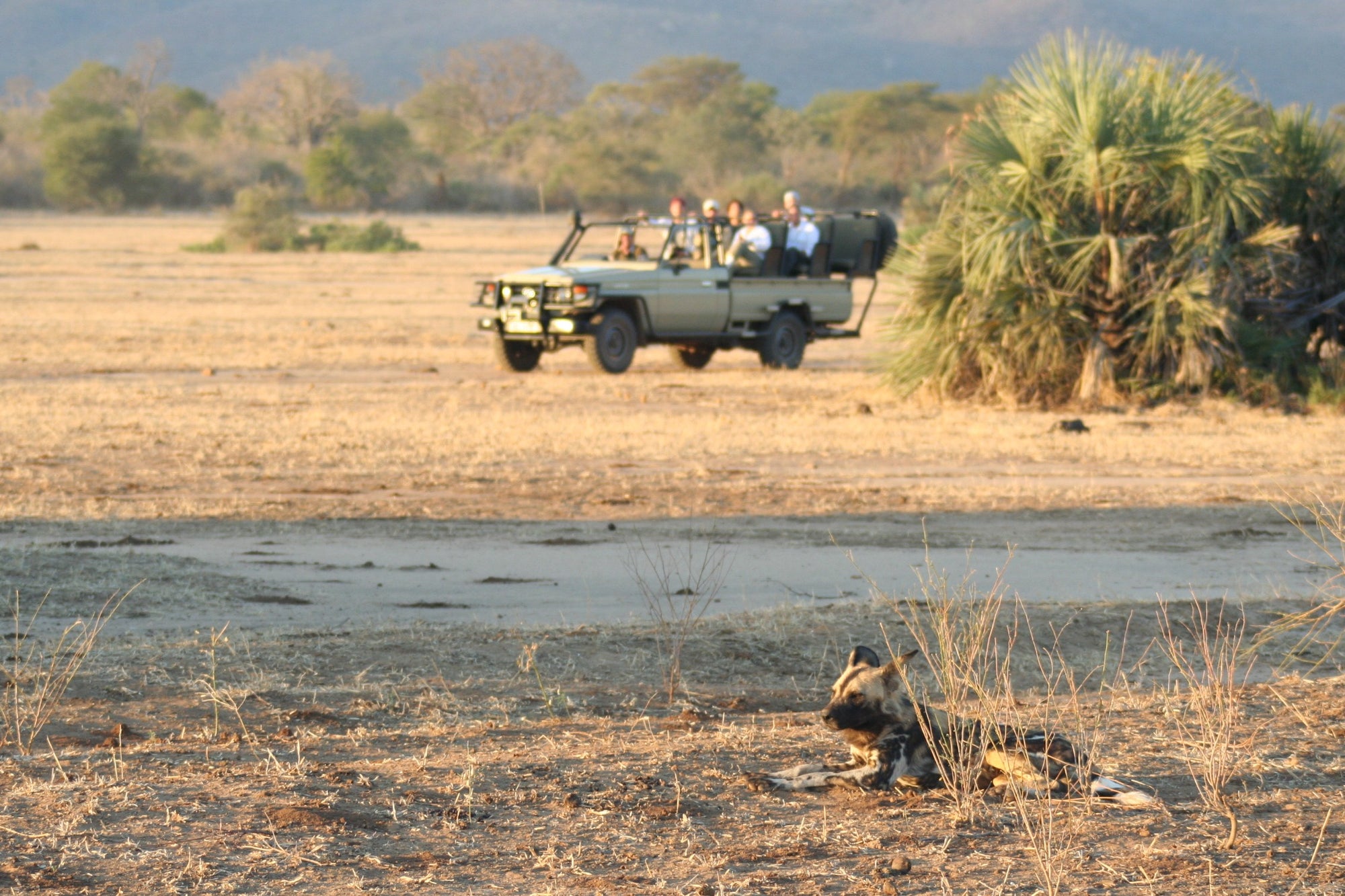 Game Drives (4 x 4) 