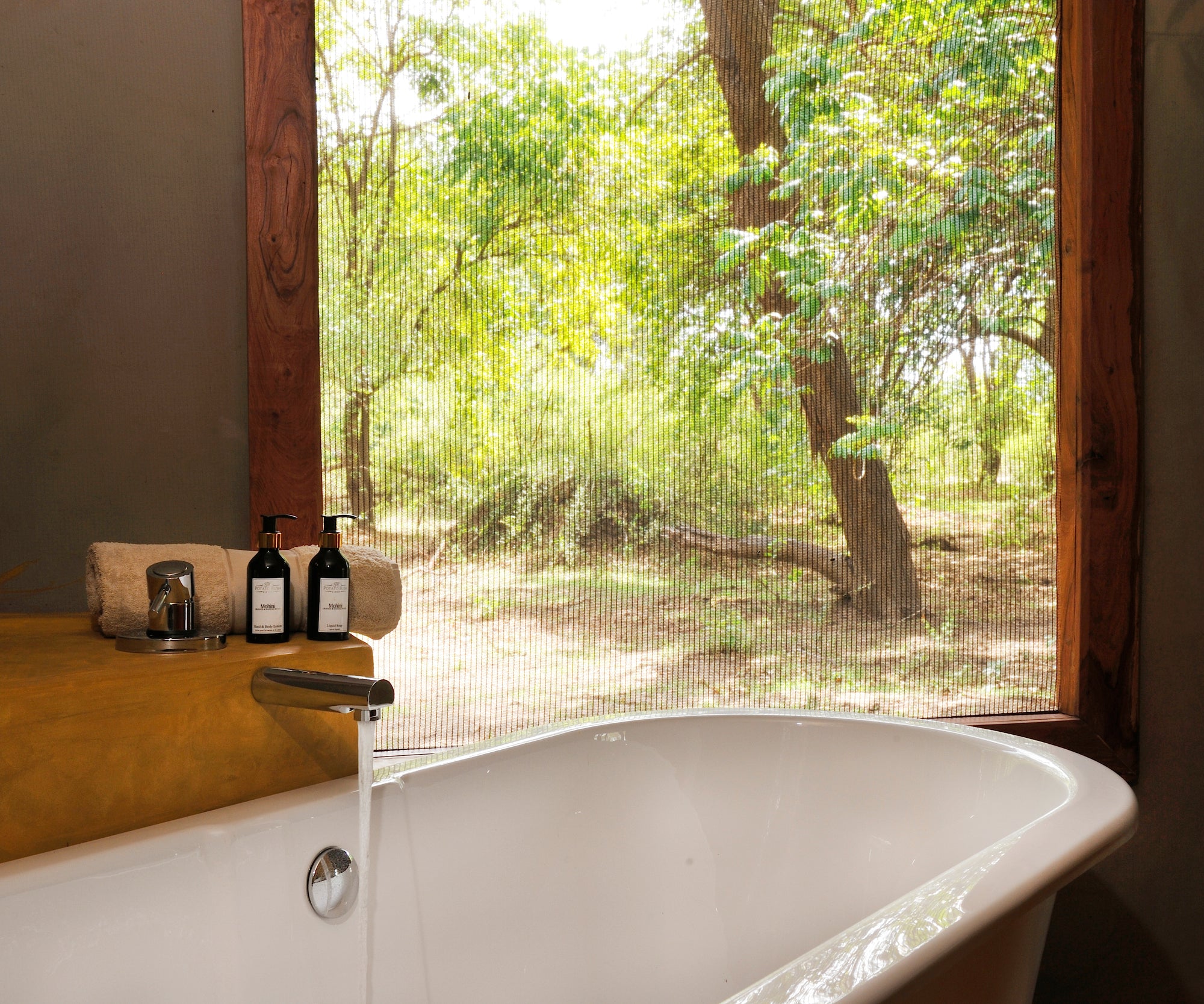 Bathroom with a view!