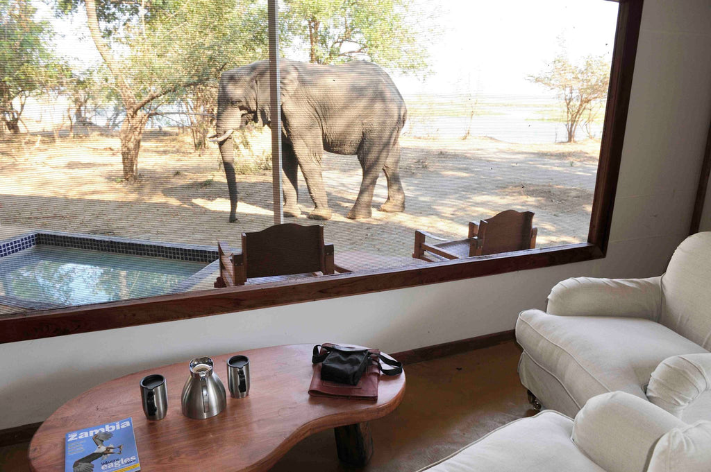Safari Tent