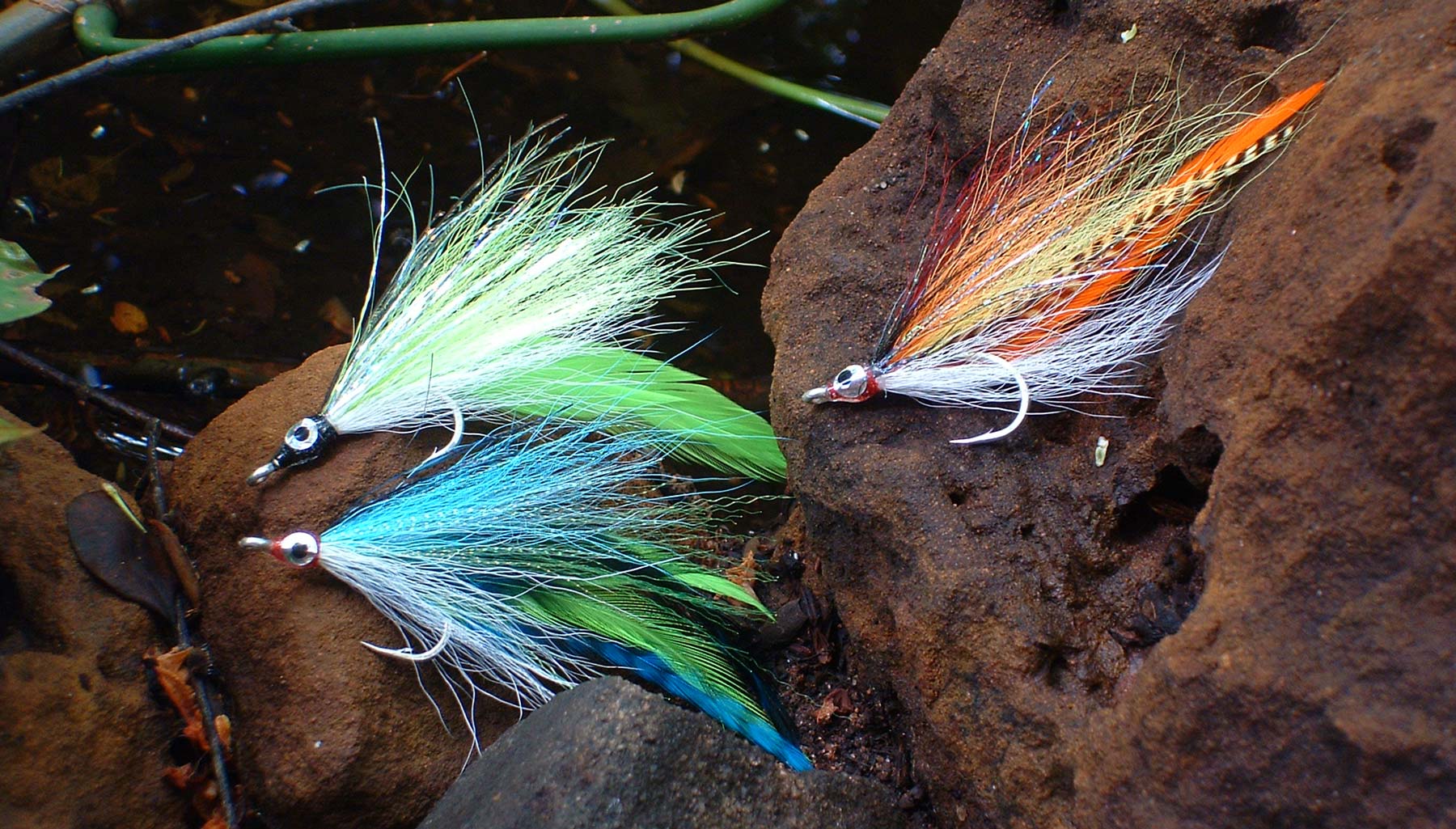 Fishing 